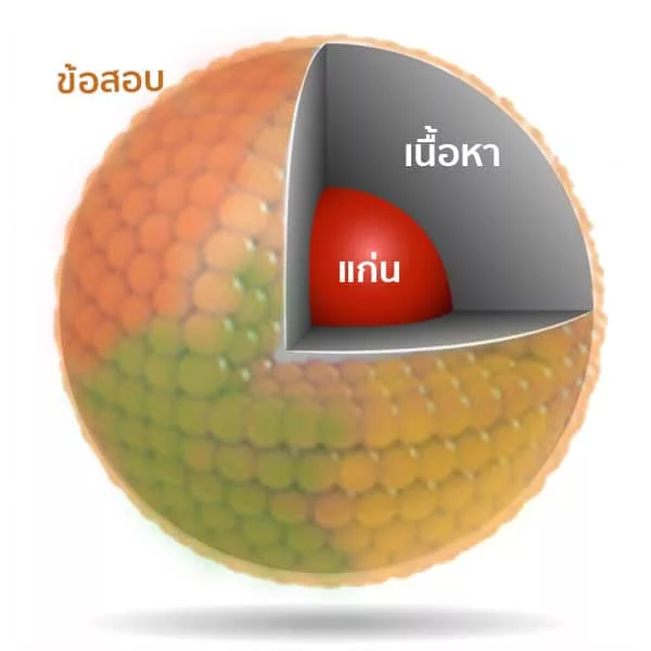 CHEM 9 แก่น เปลือก jpg CHEM