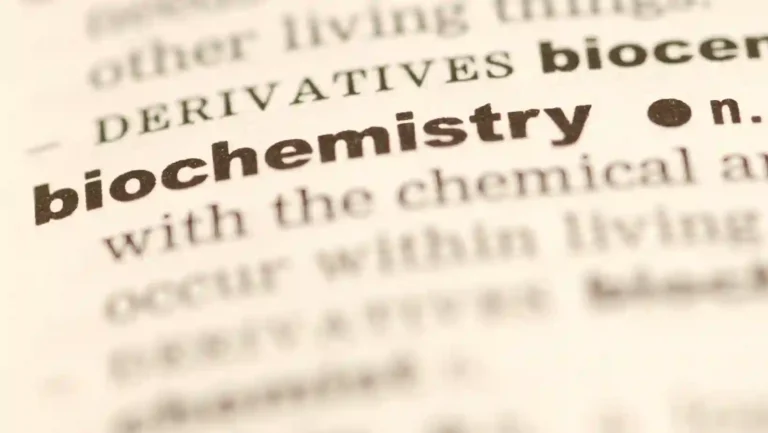 dekwiz article biochemistry basics 4 biomolecules tcas 1 สรุปเคมีพื้นฐานของสิ่งมีชีวิต พร้อม 4 โมเลกุลชีวภาพสำคัญที่ต้องรู้! สำหรับสอบ A-Level และ PAT2